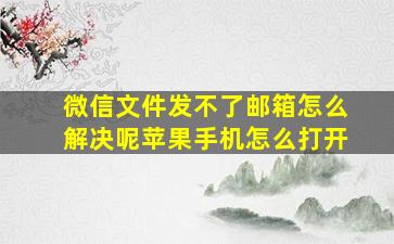 微信文件发不了邮箱怎么解决呢苹果手机怎么打开