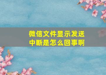 微信文件显示发送中断是怎么回事啊