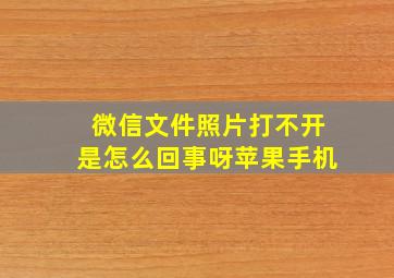 微信文件照片打不开是怎么回事呀苹果手机