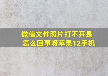 微信文件照片打不开是怎么回事呀苹果12手机