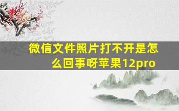 微信文件照片打不开是怎么回事呀苹果12pro