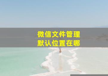 微信文件管理默认位置在哪