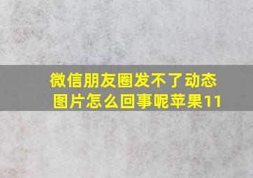 微信朋友圈发不了动态图片怎么回事呢苹果11