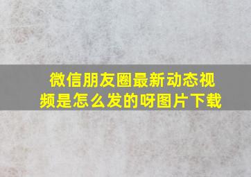 微信朋友圈最新动态视频是怎么发的呀图片下载