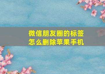 微信朋友圈的标签怎么删除苹果手机