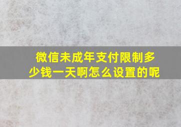 微信未成年支付限制多少钱一天啊怎么设置的呢