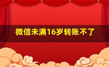 微信未满16岁转账不了