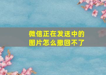 微信正在发送中的图片怎么撤回不了