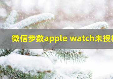 微信步数apple watch未授权