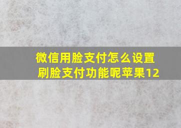 微信用脸支付怎么设置刷脸支付功能呢苹果12