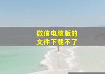 微信电脑版的文件下载不了