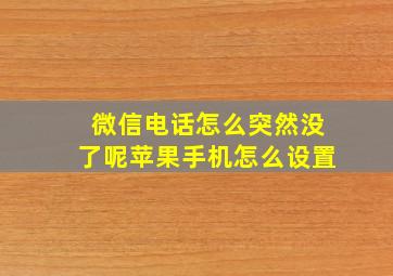 微信电话怎么突然没了呢苹果手机怎么设置