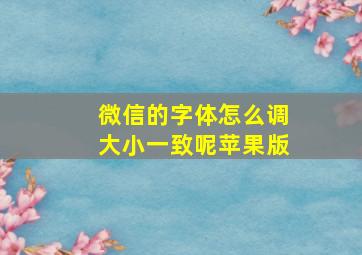 微信的字体怎么调大小一致呢苹果版