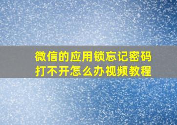 微信的应用锁忘记密码打不开怎么办视频教程