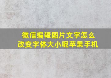 微信编辑图片文字怎么改变字体大小呢苹果手机