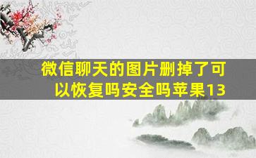 微信聊天的图片删掉了可以恢复吗安全吗苹果13