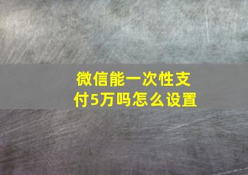 微信能一次性支付5万吗怎么设置