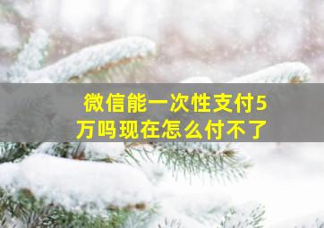 微信能一次性支付5万吗现在怎么付不了