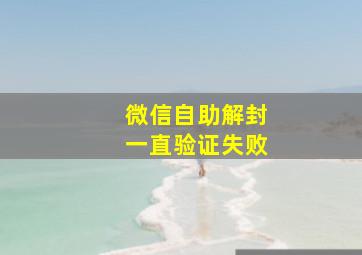 微信自助解封一直验证失败