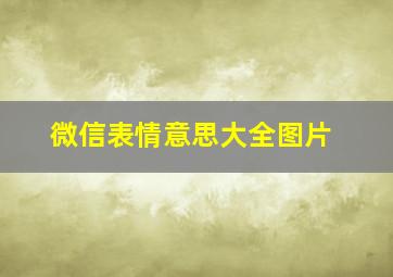 微信表情意思大全图片