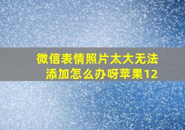 微信表情照片太大无法添加怎么办呀苹果12