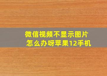 微信视频不显示图片怎么办呀苹果12手机