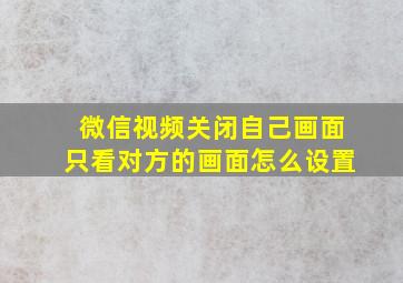 微信视频关闭自己画面只看对方的画面怎么设置