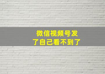 微信视频号发了自己看不到了