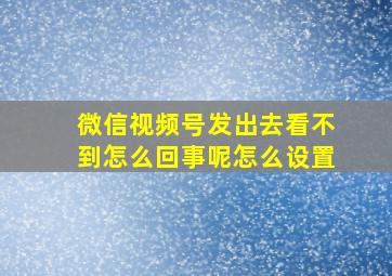 微信视频号发出去看不到怎么回事呢怎么设置