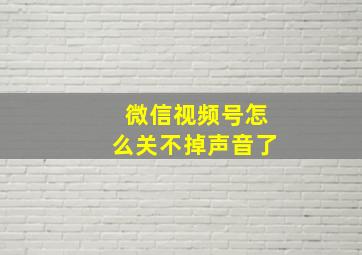 微信视频号怎么关不掉声音了