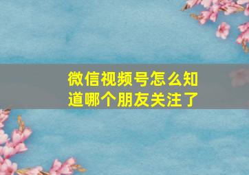 微信视频号怎么知道哪个朋友关注了