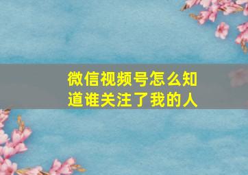 微信视频号怎么知道谁关注了我的人