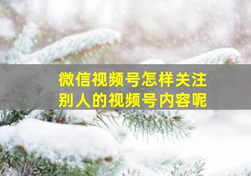 微信视频号怎样关注别人的视频号内容呢