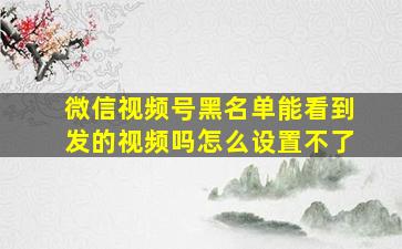 微信视频号黑名单能看到发的视频吗怎么设置不了