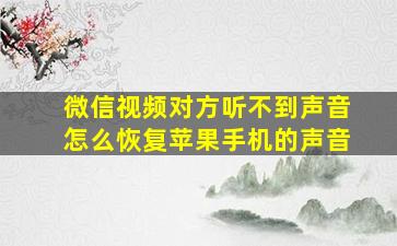 微信视频对方听不到声音怎么恢复苹果手机的声音