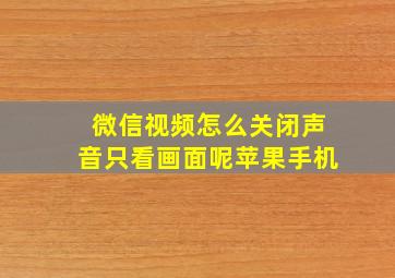 微信视频怎么关闭声音只看画面呢苹果手机