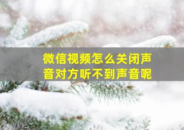 微信视频怎么关闭声音对方听不到声音呢