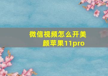 微信视频怎么开美颜苹果11pro