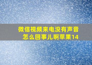 微信视频来电没有声音怎么回事儿啊苹果14