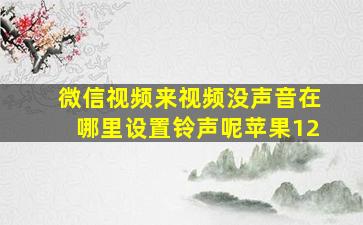 微信视频来视频没声音在哪里设置铃声呢苹果12