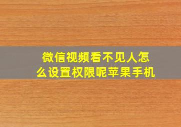 微信视频看不见人怎么设置权限呢苹果手机