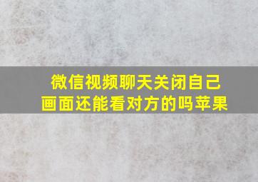 微信视频聊天关闭自己画面还能看对方的吗苹果