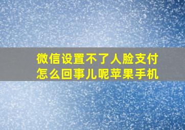 微信设置不了人脸支付怎么回事儿呢苹果手机