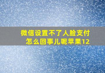 微信设置不了人脸支付怎么回事儿呢苹果12