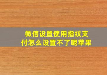 微信设置使用指纹支付怎么设置不了呢苹果