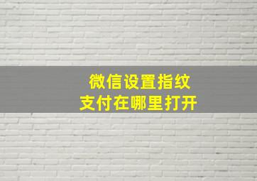 微信设置指纹支付在哪里打开