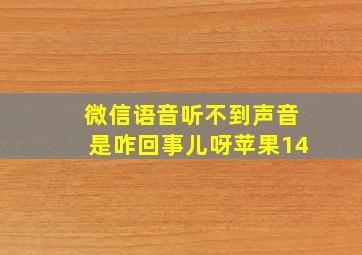 微信语音听不到声音是咋回事儿呀苹果14