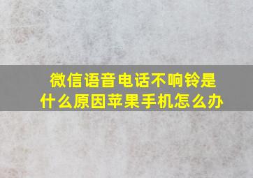 微信语音电话不响铃是什么原因苹果手机怎么办