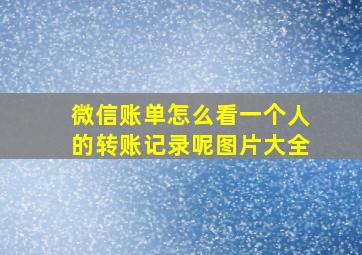 微信账单怎么看一个人的转账记录呢图片大全