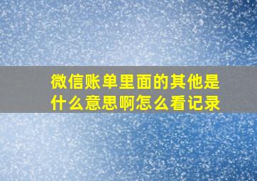 微信账单里面的其他是什么意思啊怎么看记录